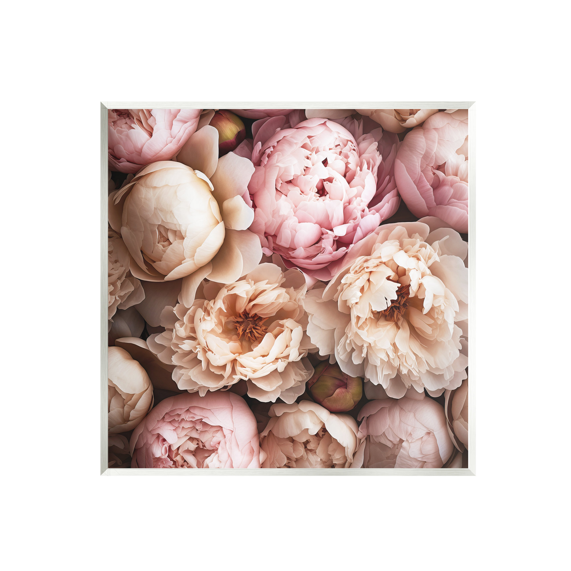 Stupell Industries Bb-308-Wood " Soft Peonies Photography " By Riley B ...